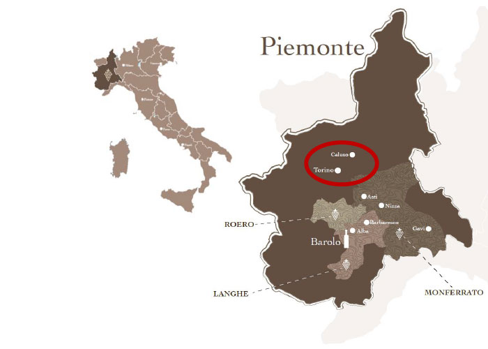Erbaluce di Caluso DOCG | Vite Colte Winery in Barolo